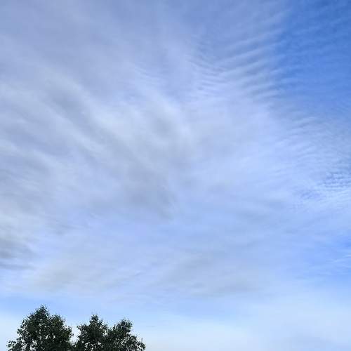 Photo #13738493