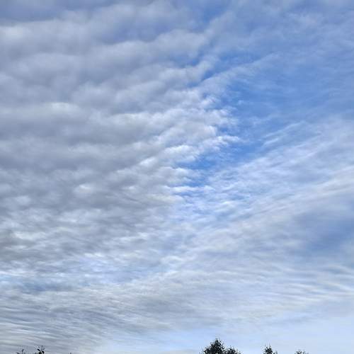 Photo #13738494