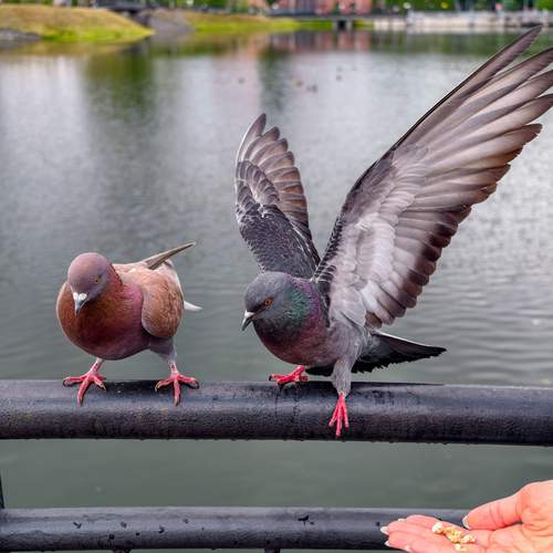 Photo #13738503