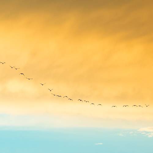 Photo #13738509