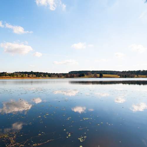 Photo #13738510
