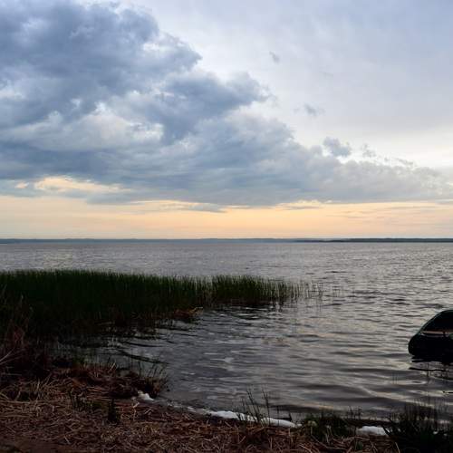 Photo #13738511