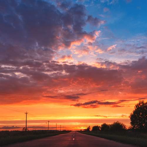 Photo #13738514