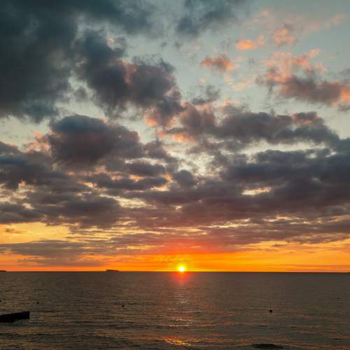 Photo #13738520