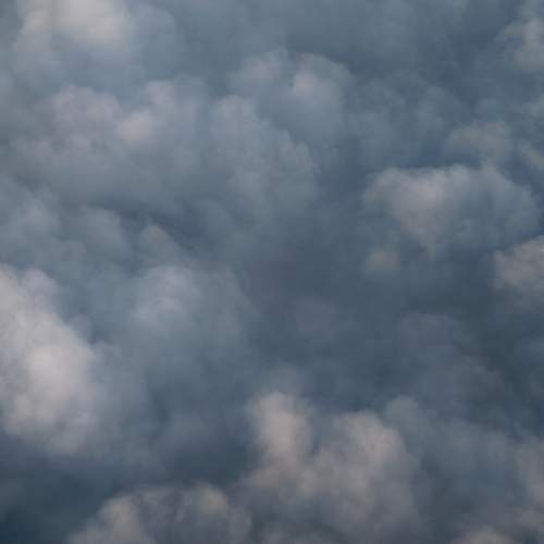 Photo #13738530