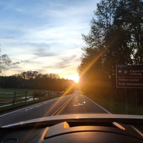 Photo #13738532