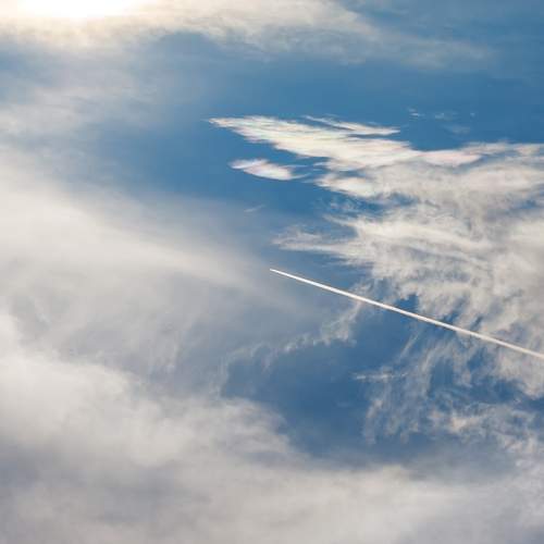 Photo #13738536