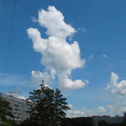 Photo #13738541