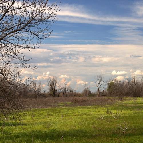 Photo #13738543