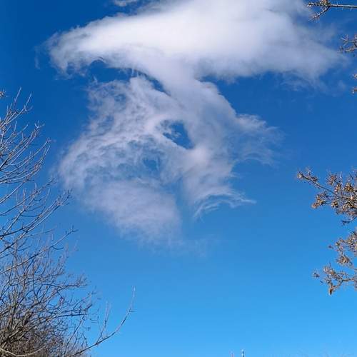 Photo #13738544