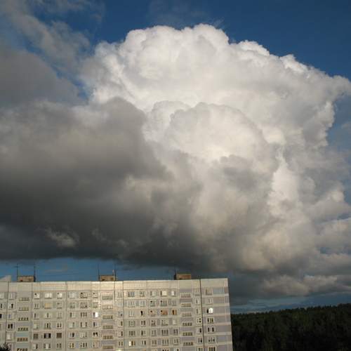 Photo #13738553