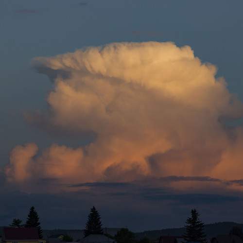 Photo #13738557
