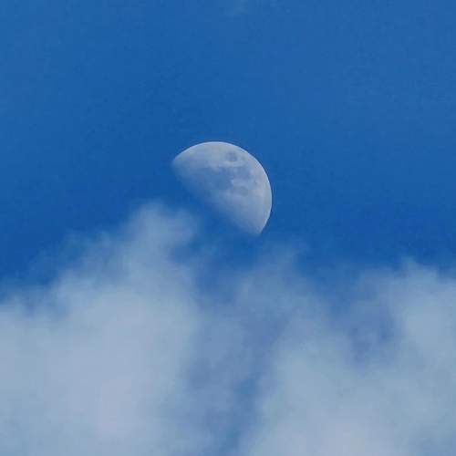 Photo #13738558