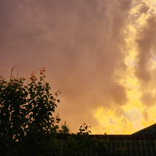 Photo #13738581