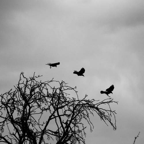 Photo #13738602