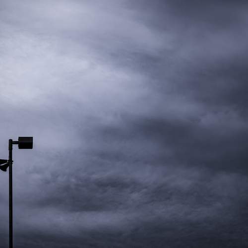 Photo #13738615
