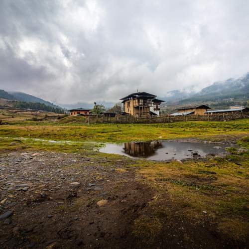 Photo #13738625