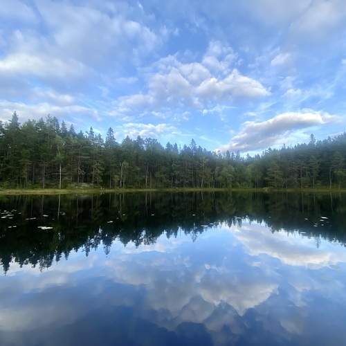 Photo #13738633