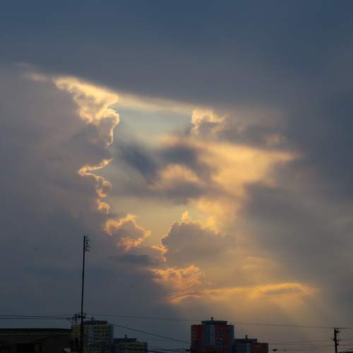 Photo #13738660