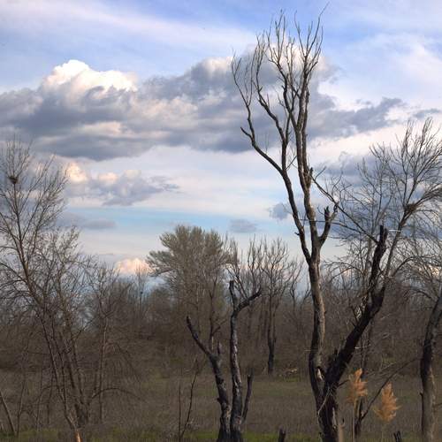 Photo #13738665