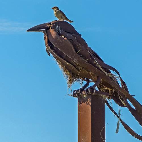 Photo #13738666
