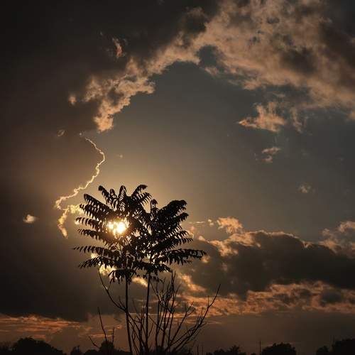 Photo #13738677