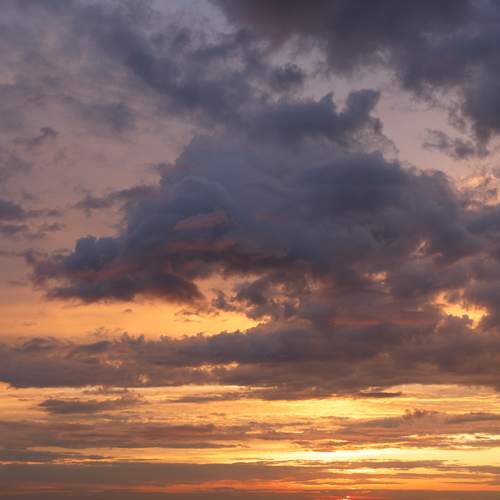 Photo #13738679