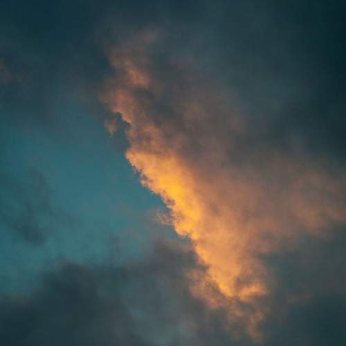 Photo #13738687