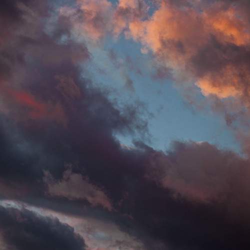 Photo #13738691