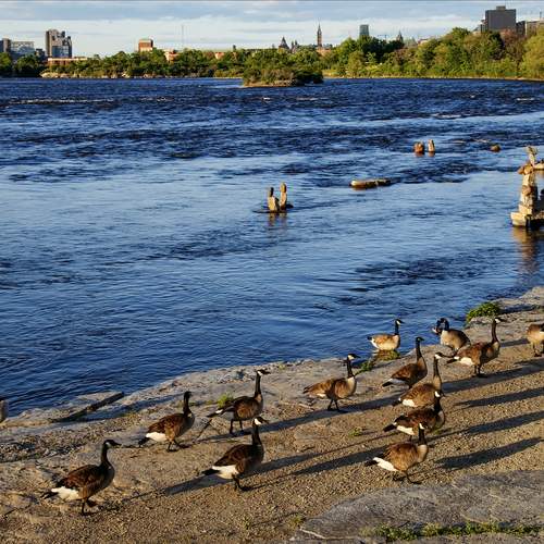 Photo #13738693