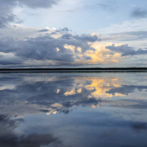 Photo #13738697