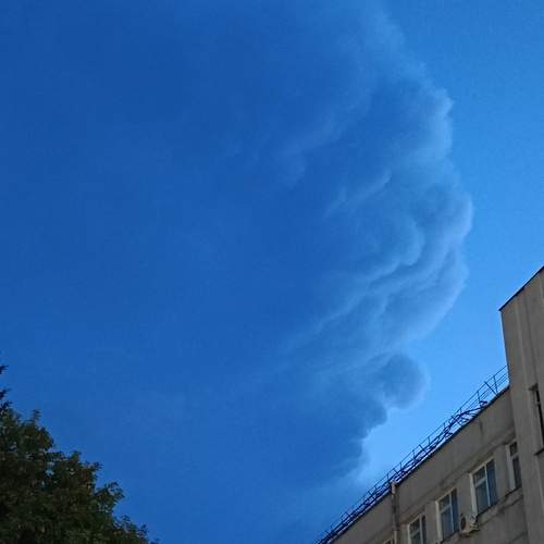 Photo #13738699