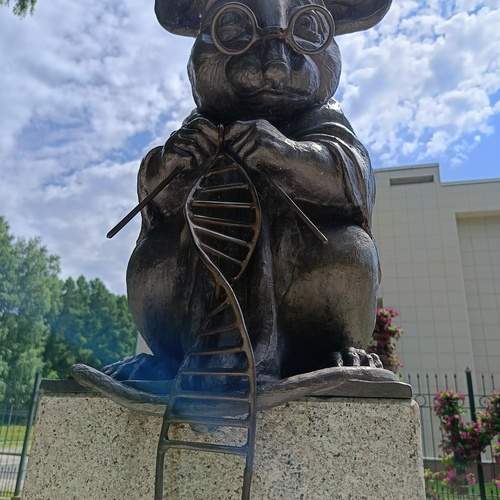 Photo #13738700