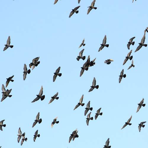 Photo #13738741