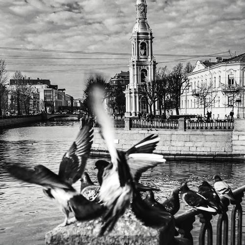 Photo #13738759
