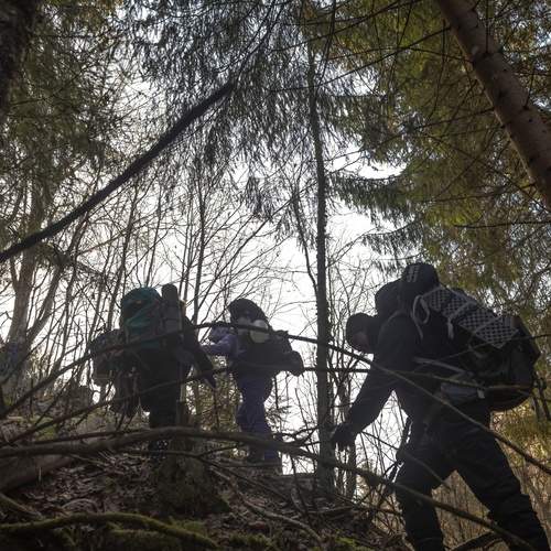 Photo #13738769