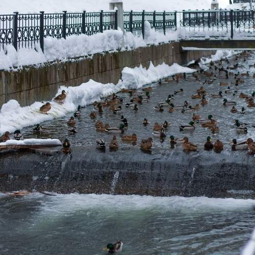 Photo #13738771