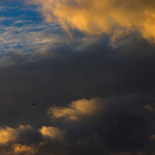Photo #13738781