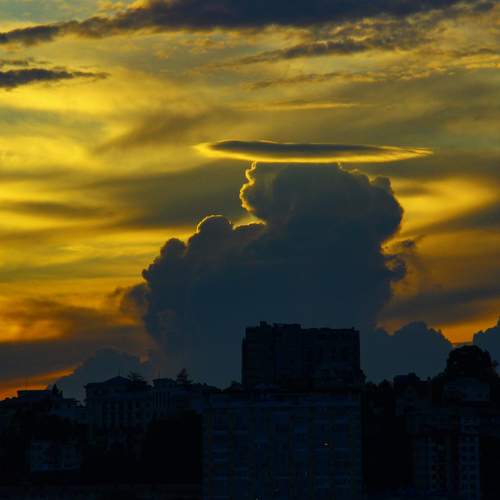 Photo #13738782