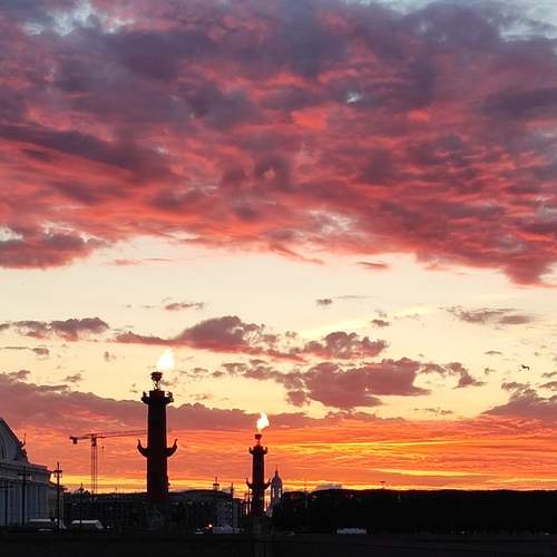 Photo #13738784