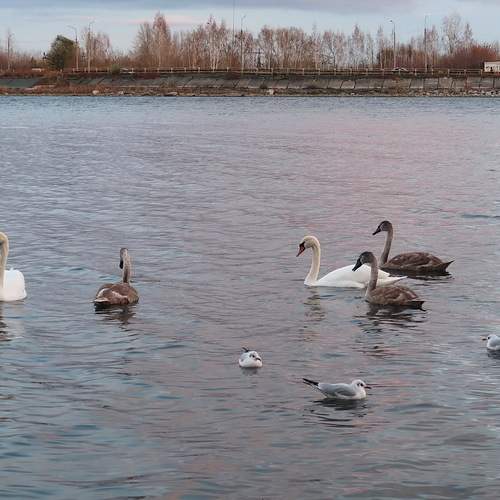 Photo #13738791