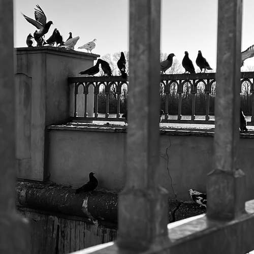 Photo #13738794