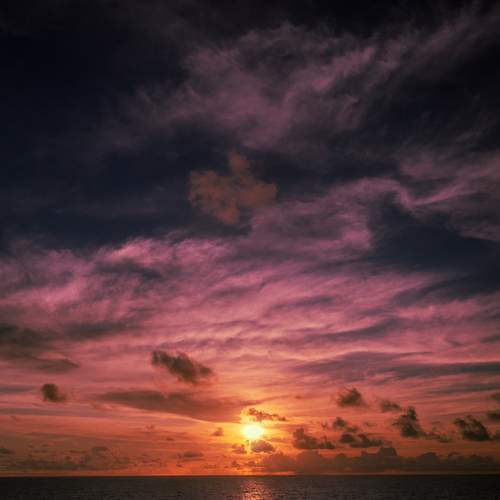 Photo #13738822