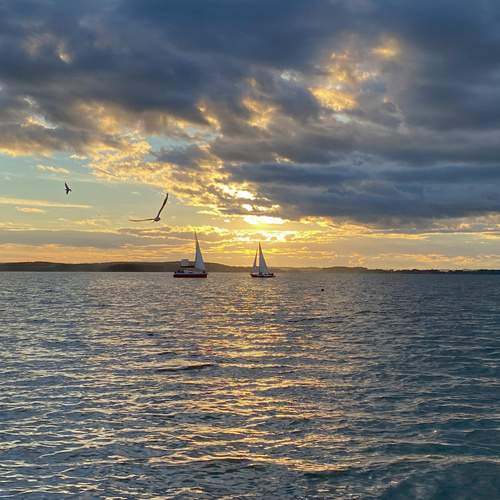 Photo #13738830