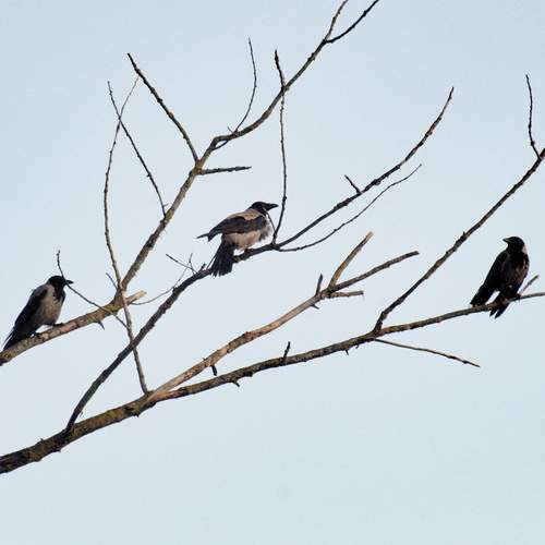 Photo #13738837