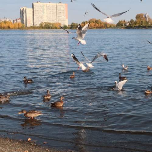 Photo #13738844