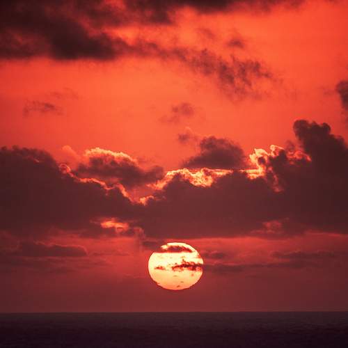 Photo #13738871