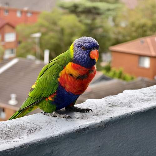 Photo #13738889