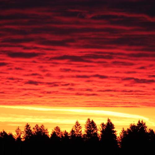 Photo #13738892