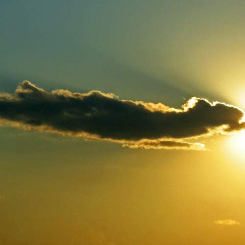 Photo #13738894